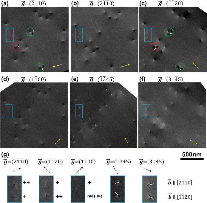 场发射伊犁扫描电镜
