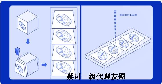 伊犁蔡司伊犁扫描电镜