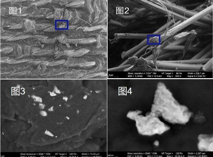 伊犁蔡司伊犁扫描电镜